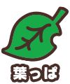 葉っぱ